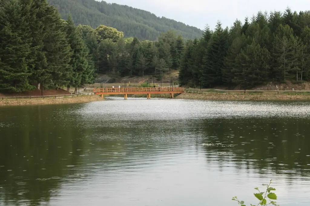 Il lago Puka tra le foreste