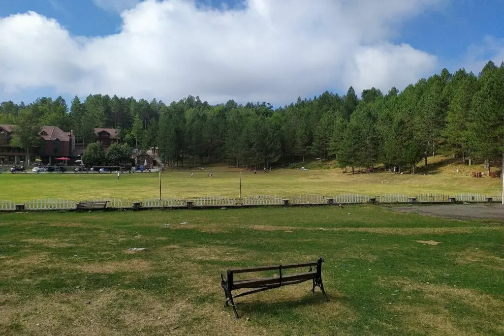 Prati e pini a Razma