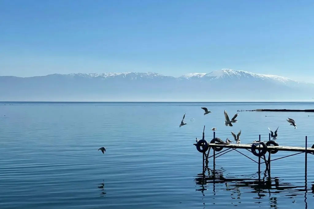 Il lago di Ohrid a Struga, con uccelli e montagne all'orizzonte