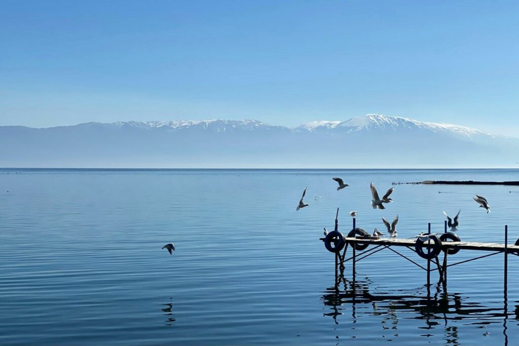 Liqeni i Ohrit në Strugë, me zogj dhe male në horizont