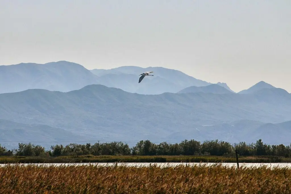 Una laguna nel Parco Naturale Kune-Vain-Tale, vicino a Tale Beach