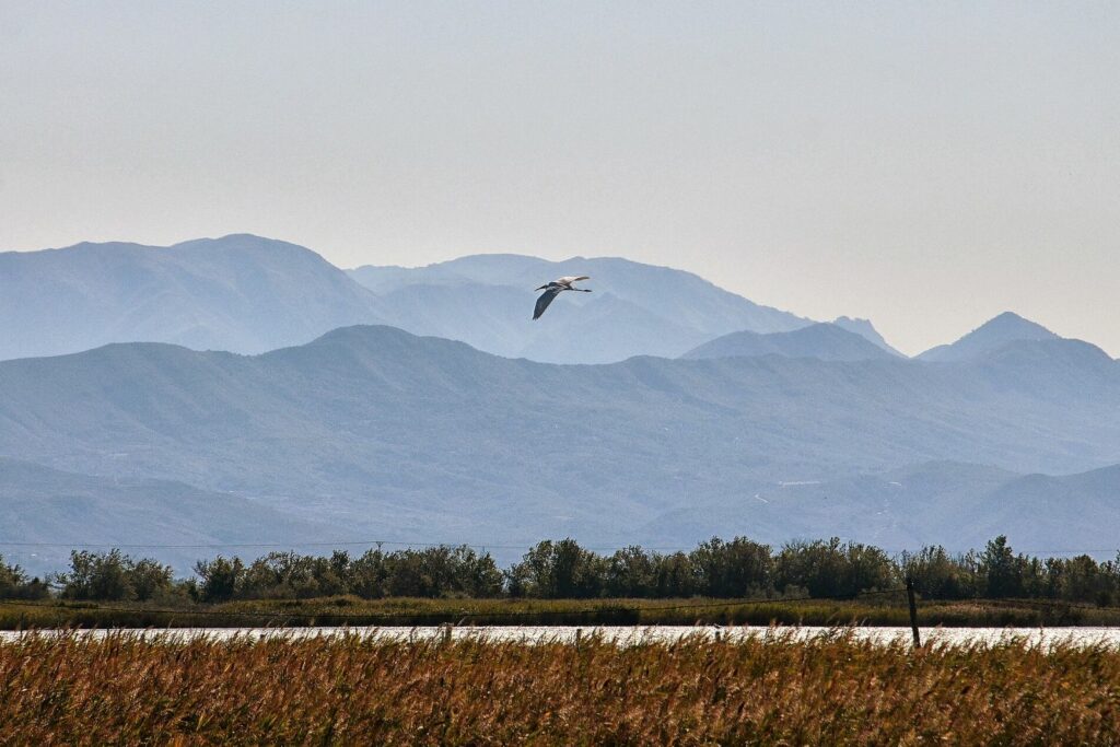 Laguna në Parkun Natyror Kune-Vain-Tale, pranë plazhit të Tales